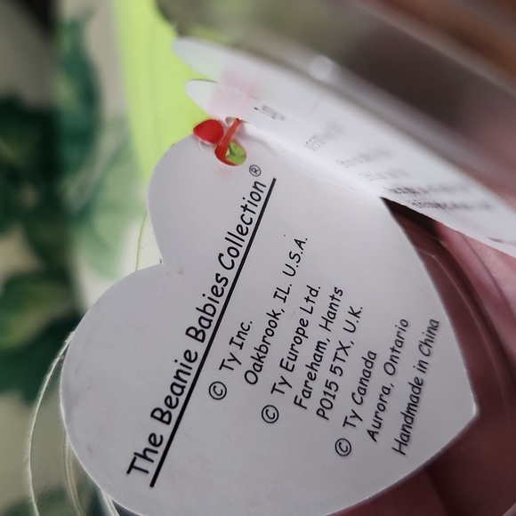 TY beanie Baby  Rainbow tag error states Iggy.  1997 - Picture 3 of 12